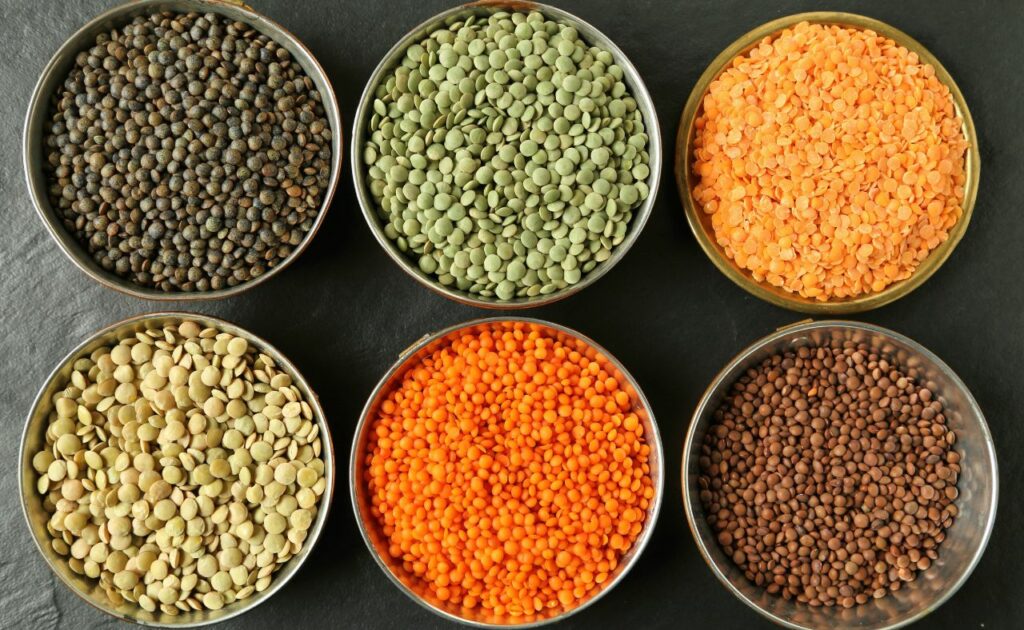 Variety of lentils