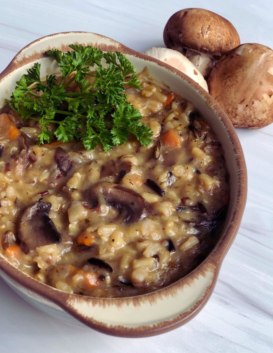 Mushroom Soup made with hearty portobello mushrooms and gourmet wild rice served in a handcrafted Gail Pittman Alfresco bowl with a garnish of fresh herbs, and baby portobellos set to the side.