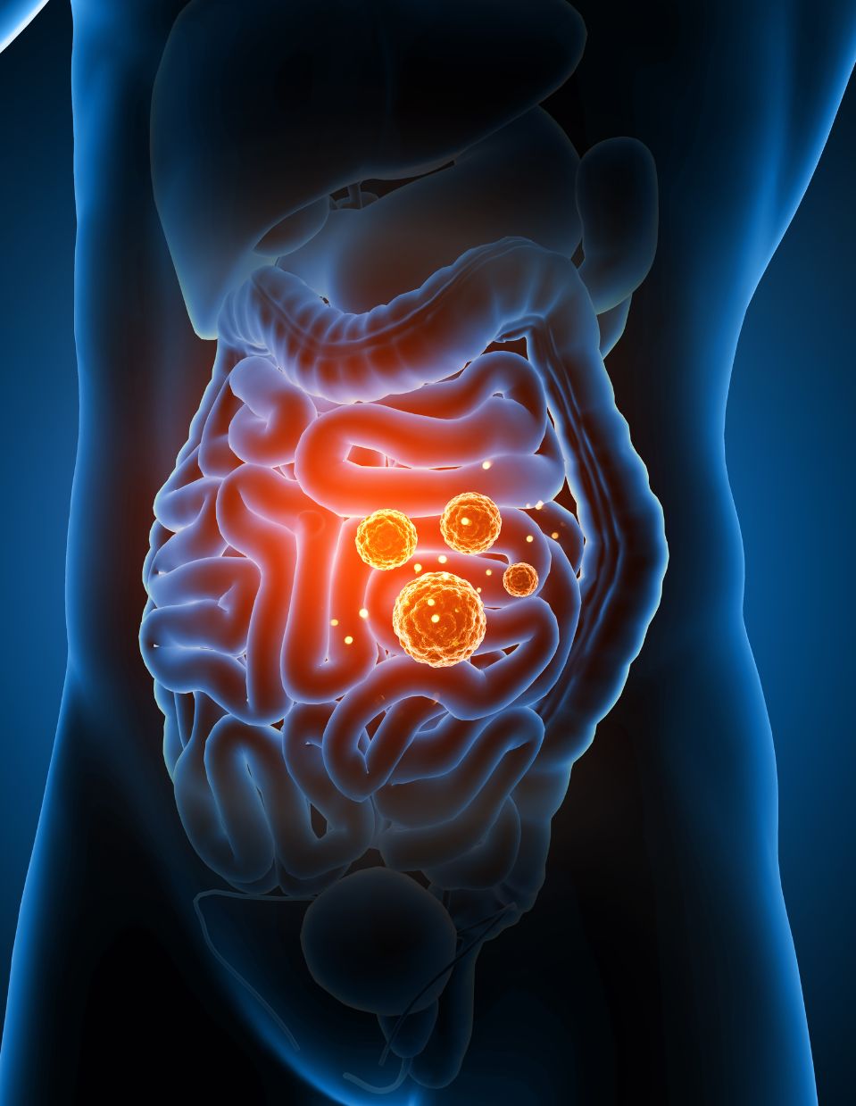 How to Improve Your Gut Health & Why It’s Important