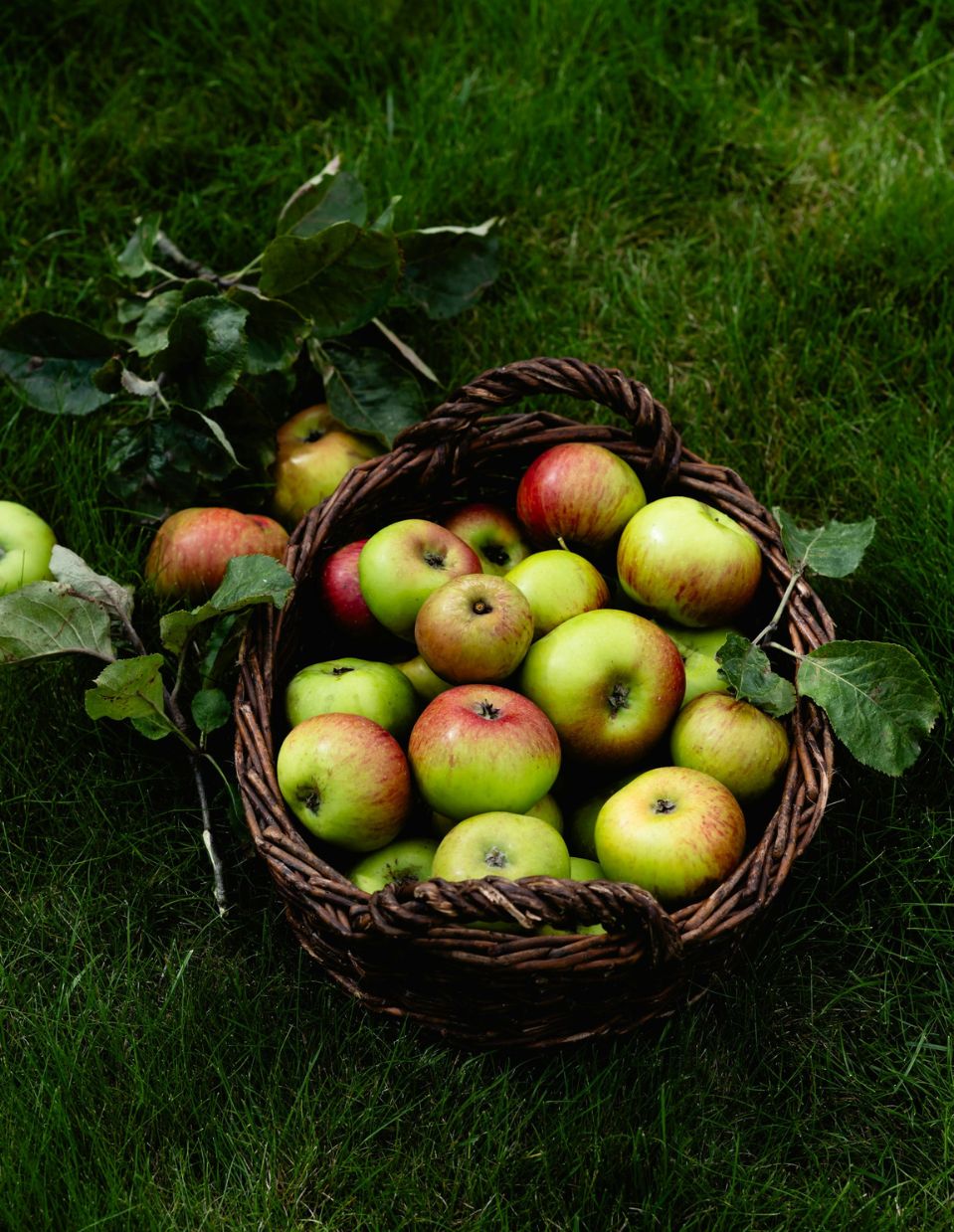 A basket of fresh apples resting on green grass, highlighting one of the best fruits for relieving constipation naturally.