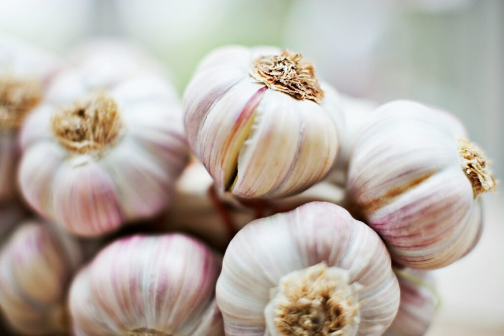 Fresh garlic bulbs, a natural remedy high in allicin, known for boosting immunity and helping to keep you from getting sick during cold and flu season.