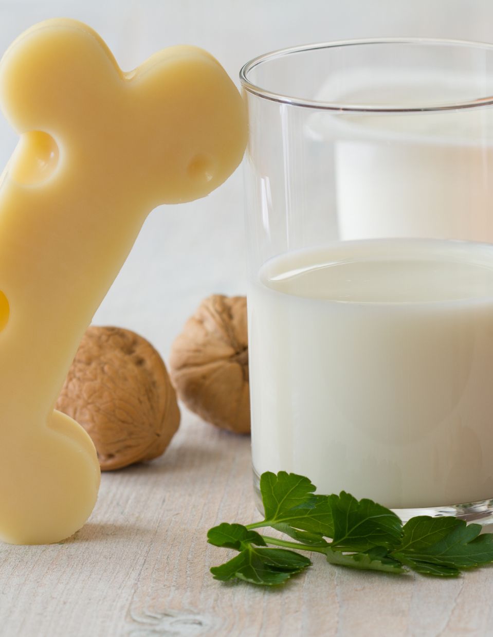 A glass of milk, a bone-shaped piece of cheese, walnuts, and fresh parsley on a wooden surface, nutrient-rich foods that support bone health.